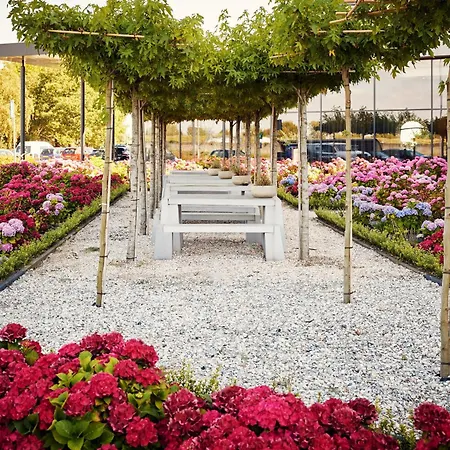 ヴァン デル ヴァルク 4*