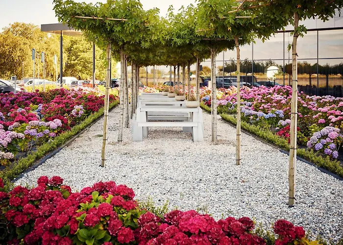 ヴァン デル ヴァルク 4*